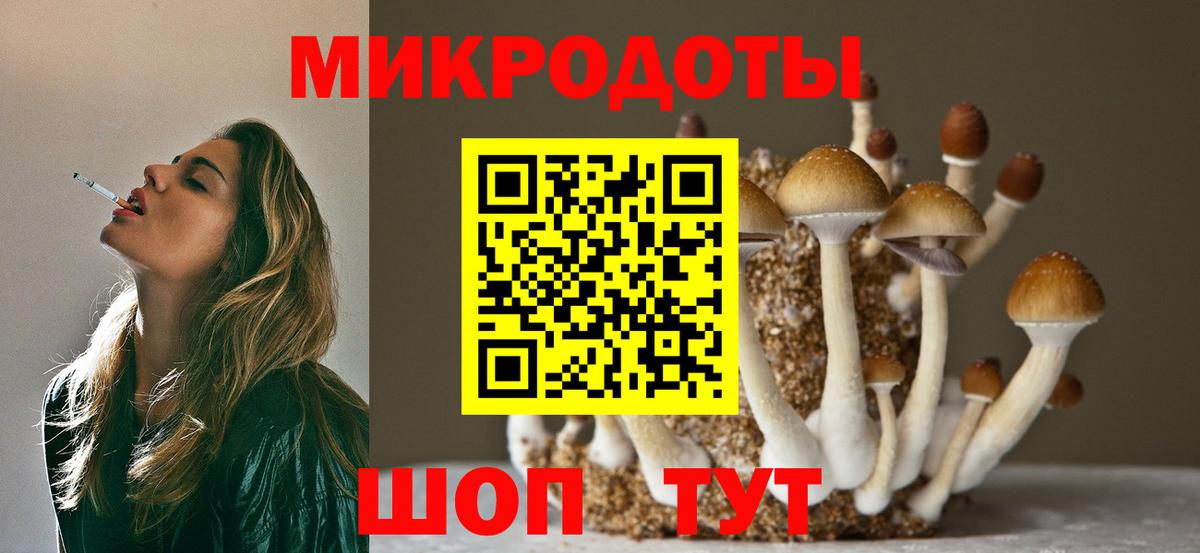 купить  сайты  Псилоцибиновые грибы GOLDEN TEACHER  Арзамас  Вход с VPN  Галлюциногенные грибы ЛСД 